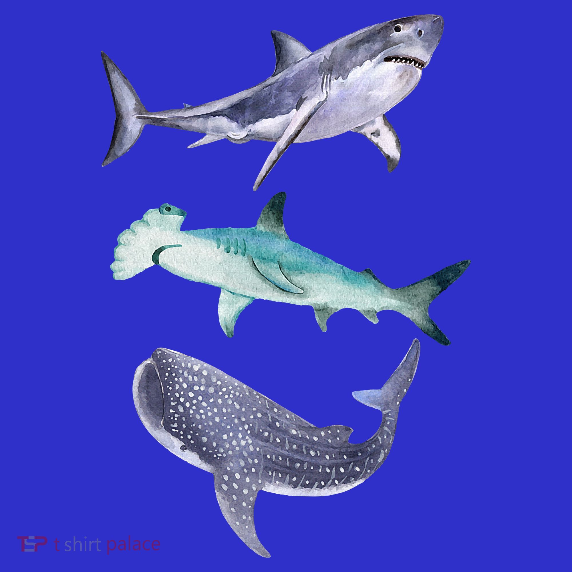 Shark Fans Great White Hammerhead And Whale Shark Lover Mousepad