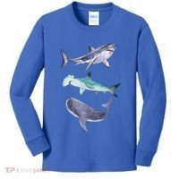 Shark Fans Great White Hammerhead And Whale Shark Lover Kids Long Sleeve Shirt thumb 0