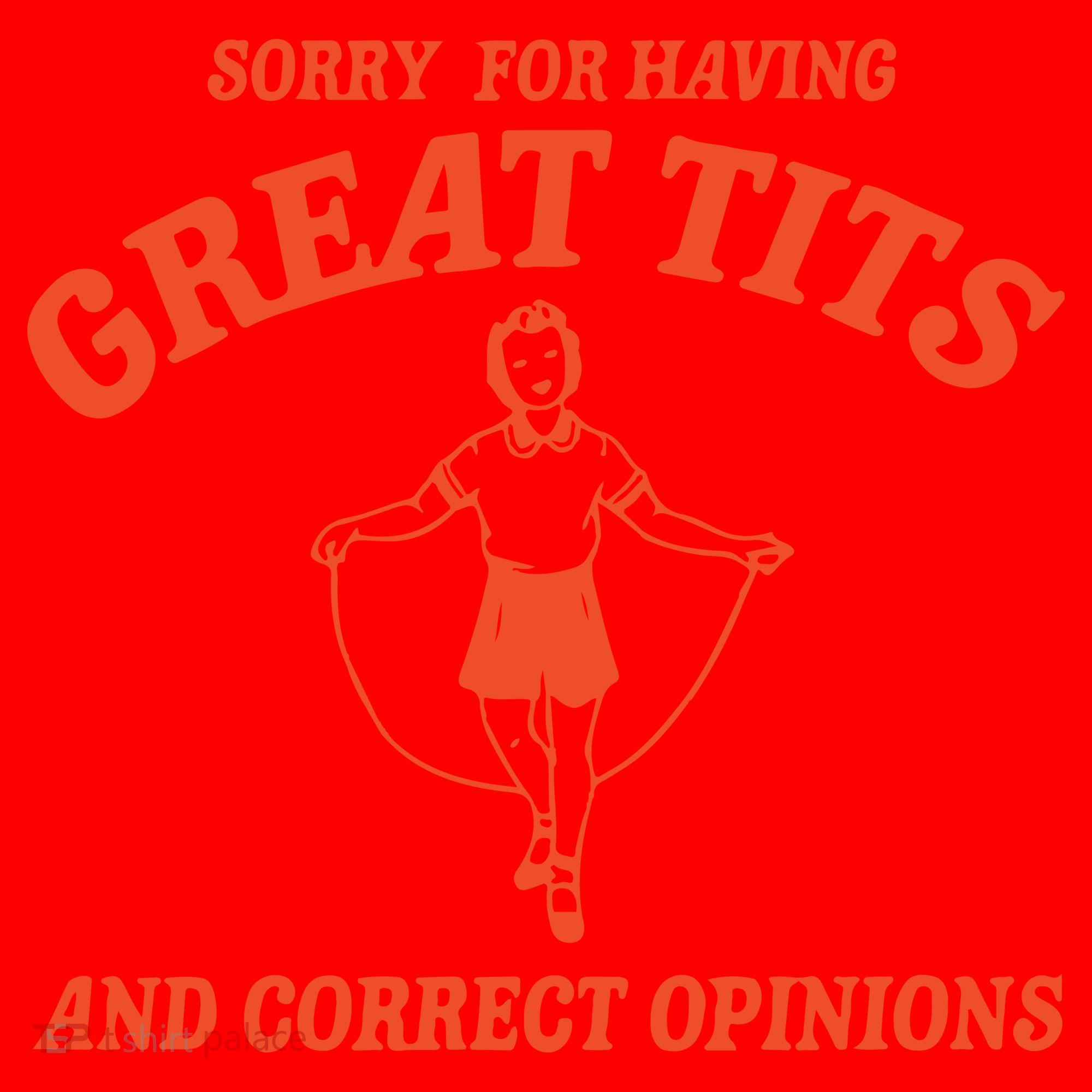 Sorry For Having Great Tits Funny Feminism Santa Hat