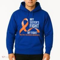 Sister's Fight My Fight Multiple Sclerosis Ms Warrior Gift Hoodie thumb 2