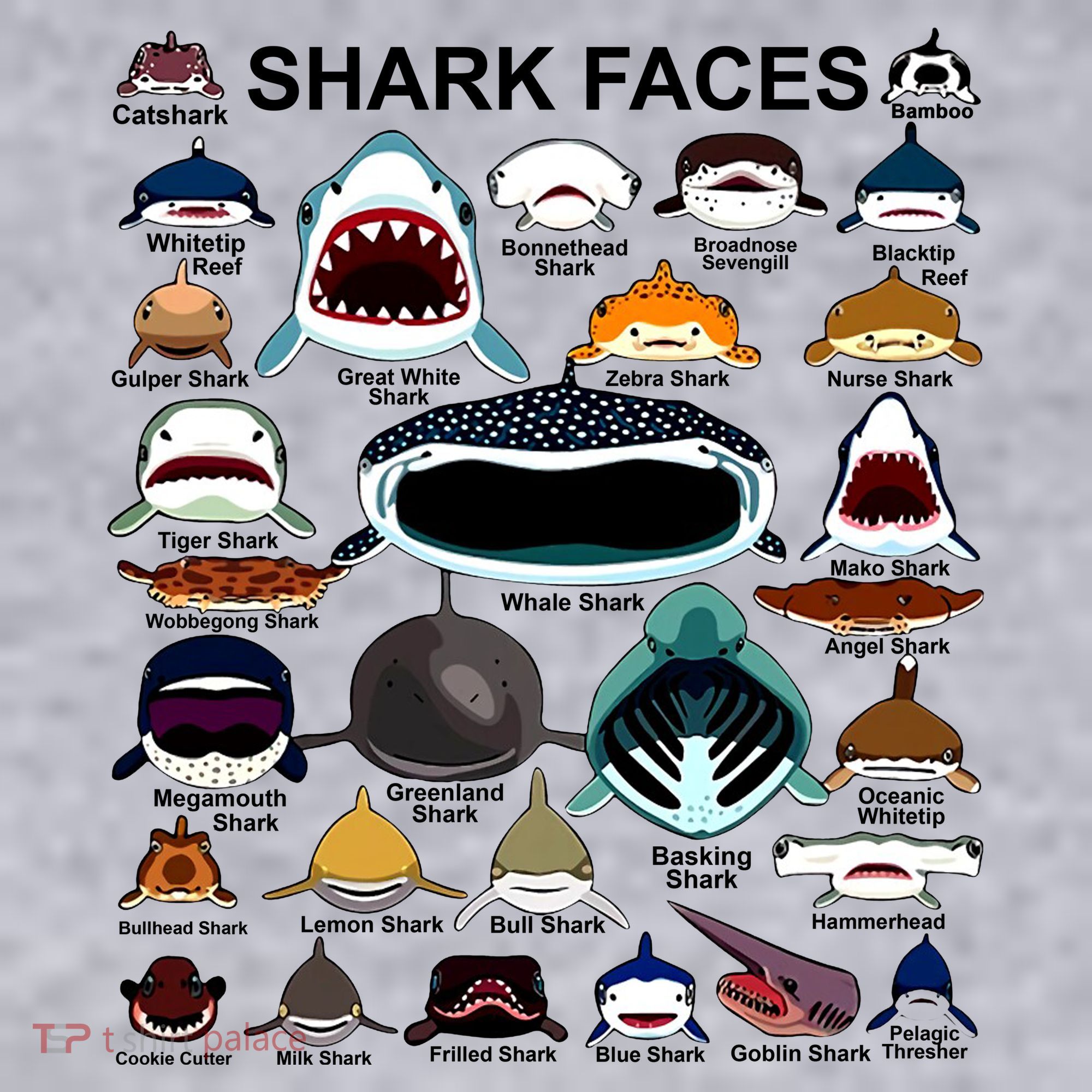 Shark Faces Of All Kinds Women's Racerback Cropped Tank