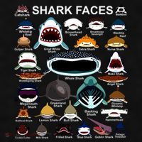 Shark Faces Of All Kinds Ladies PosiCharge Tri-Blend Wicking Tank thumb 2