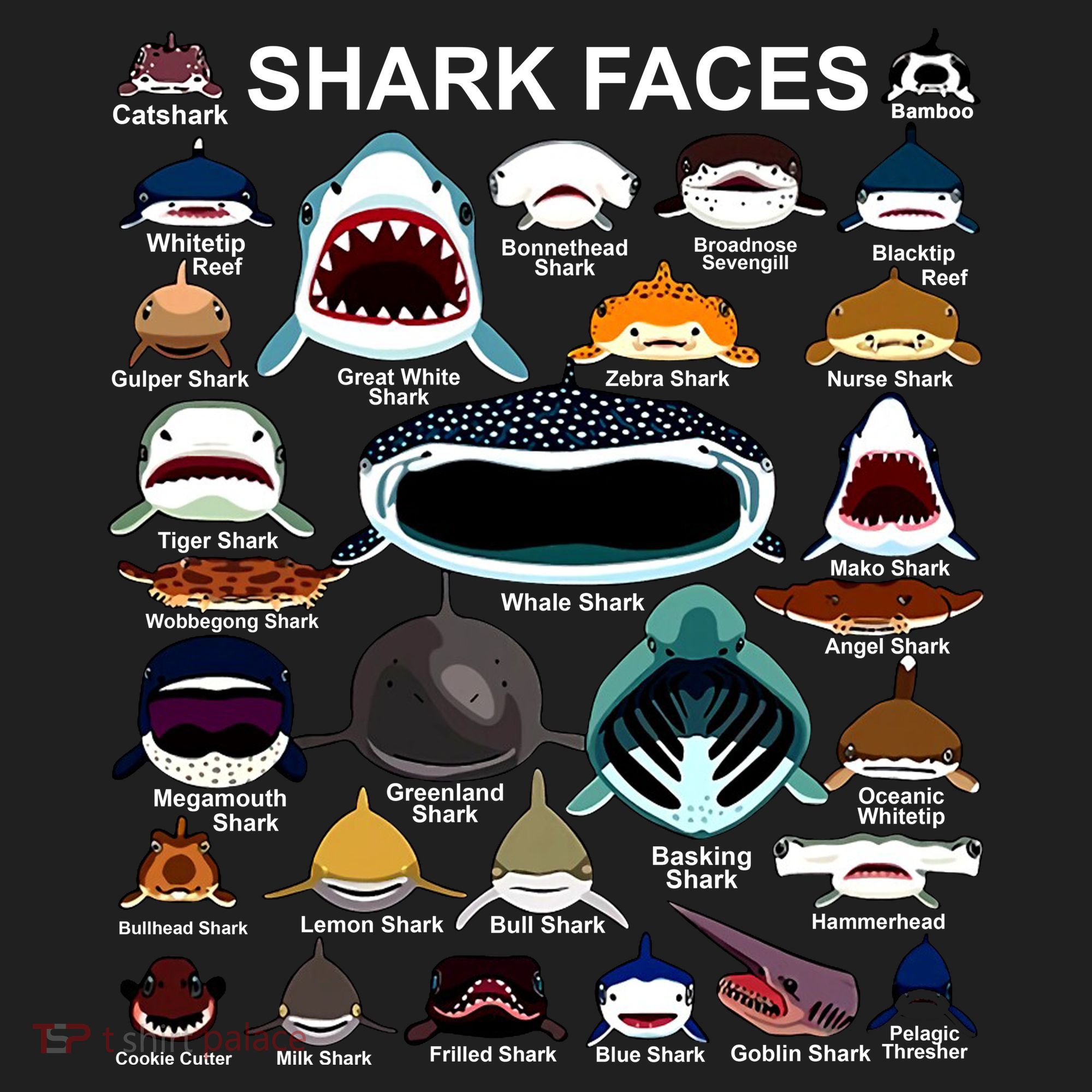 Shark Faces Of All Kinds Comfort Colors Boxy T-Shirt