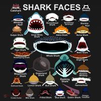 Shark Faces Of All Kinds Yupoong Adult 5-Panel Trucker Hat thumb 2