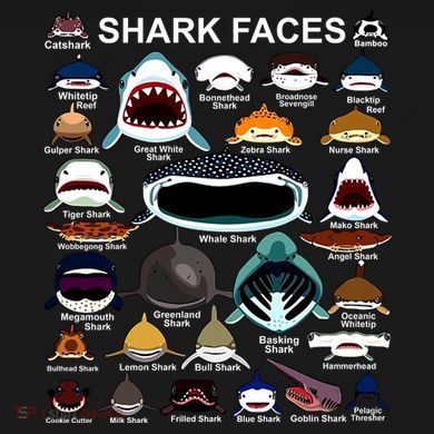 Shark Faces Of All Kinds Flat Bill Trucker Hat