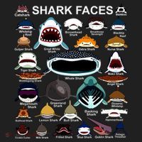 Shark Faces Of All Kinds 12oz Stainless Steel Coffee Mug thumb 3