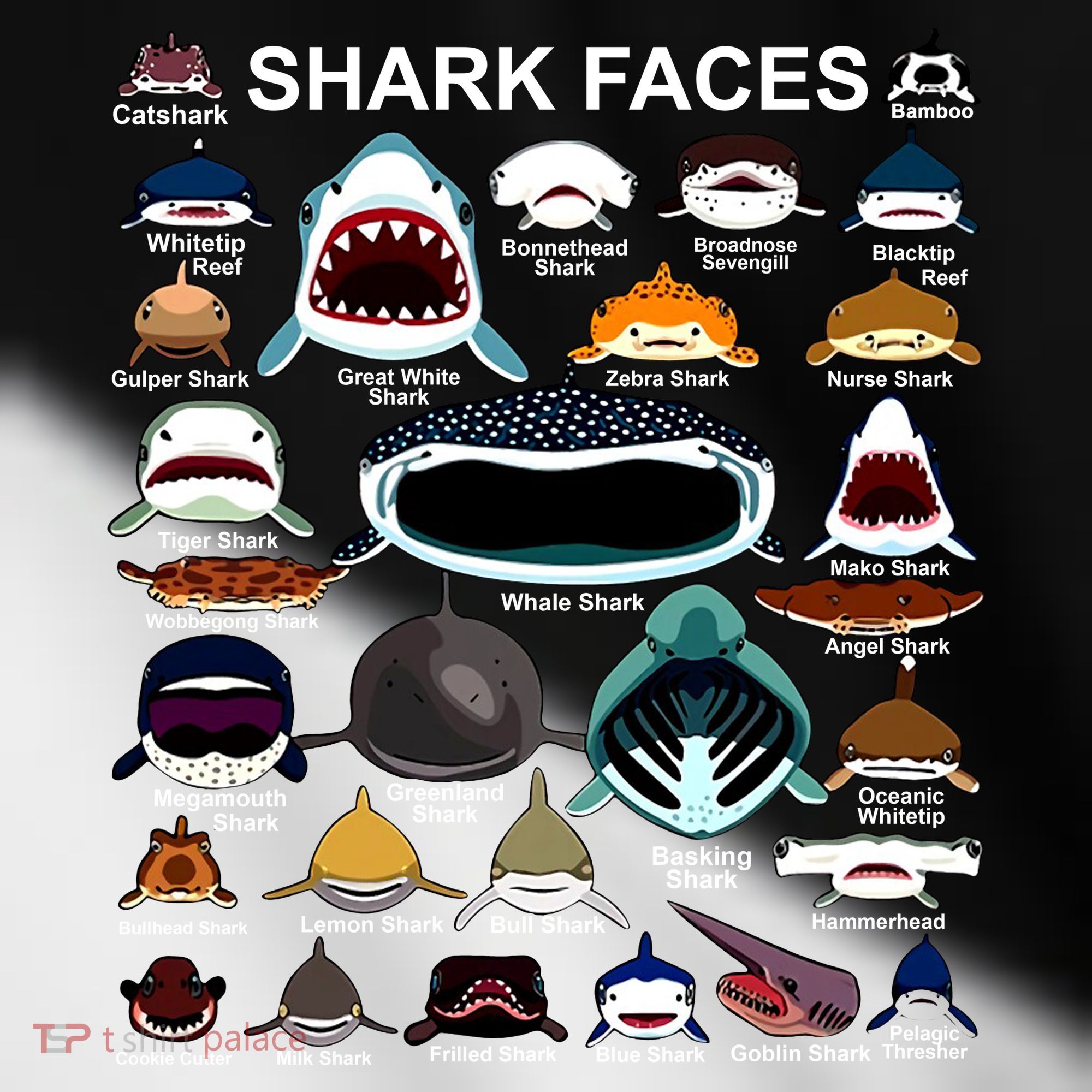 Shark Faces Of All Kinds Toddler Fine Jersey T-Shirt