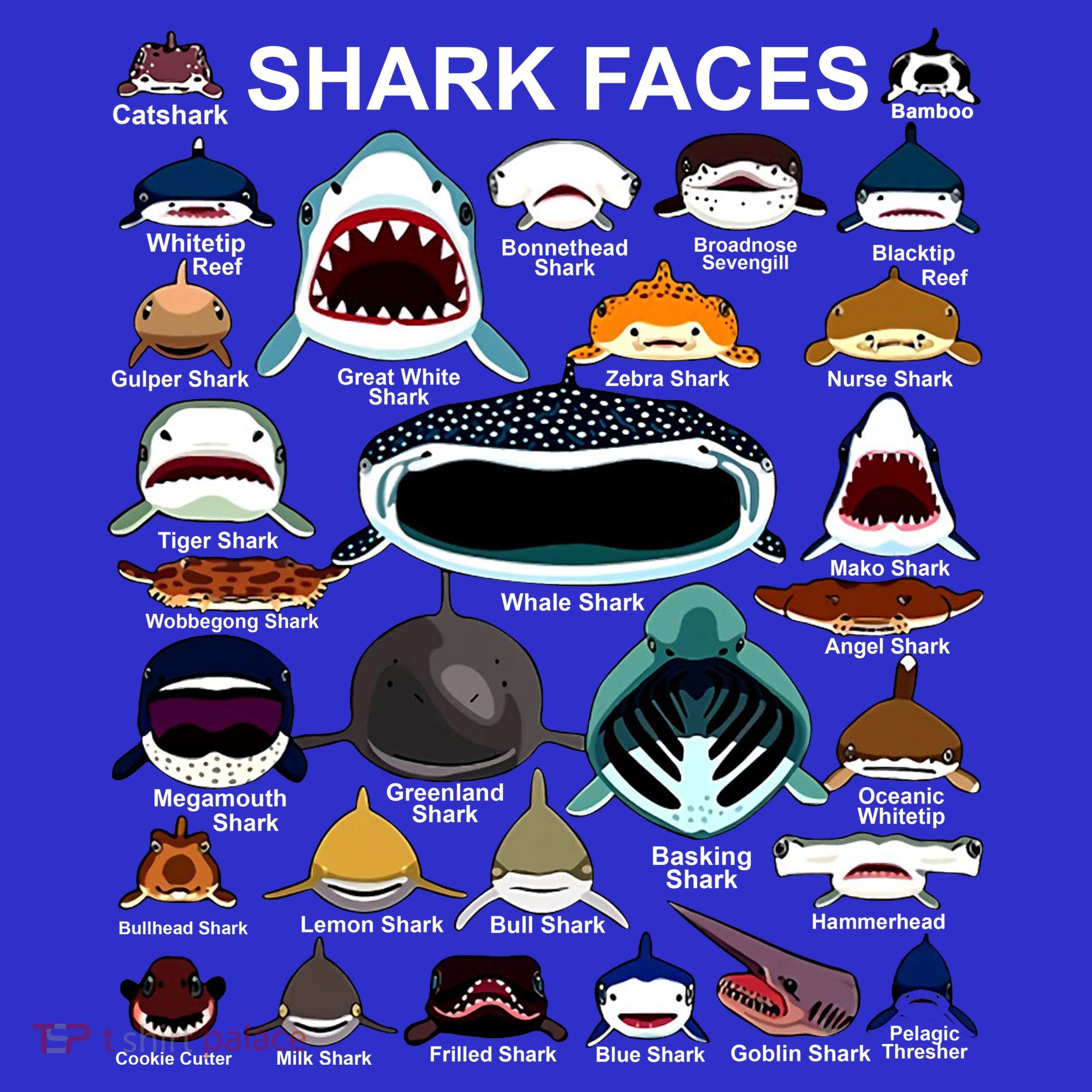 Shark Faces Of All Kinds Pom Pom 12in Knit Beanie