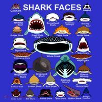 Shark Faces Of All Kinds Toddler Sweatshirt thumb 2