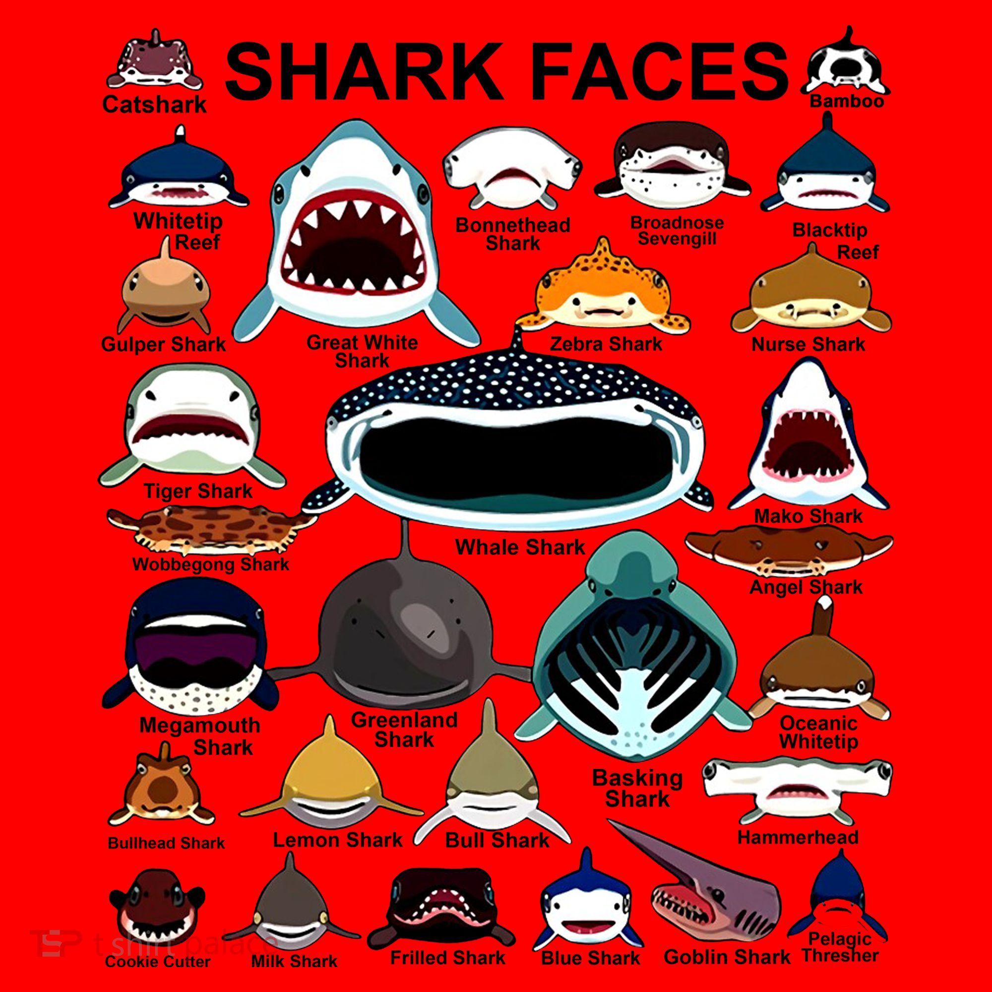 Shark Faces Of All Kinds Santa Hat