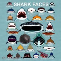Shark Faces Of All Kinds Sueded Cloud Jersey T-Shirt thumb 2