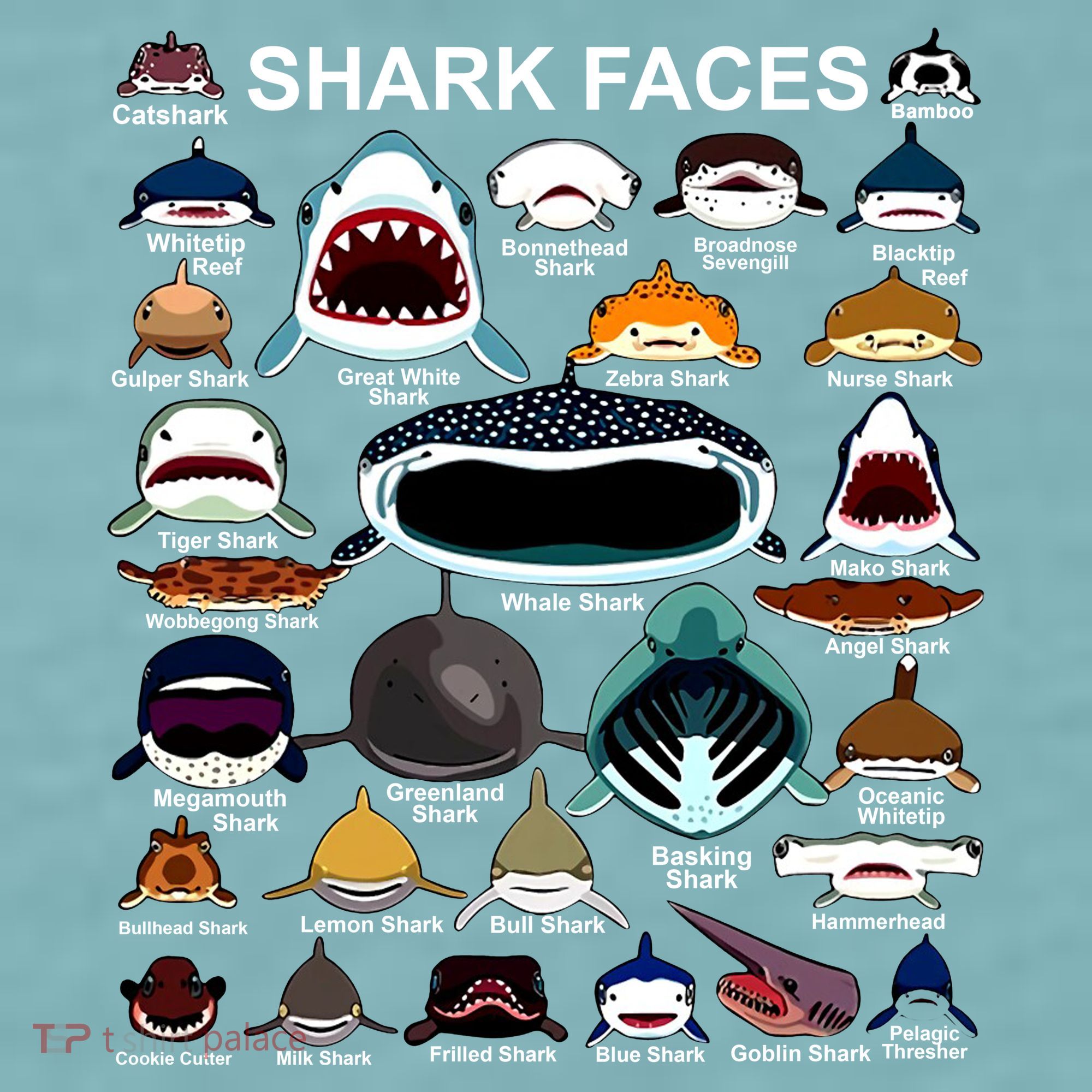 Shark Faces Of All Kinds Sueded Cloud Jersey T-Shirt