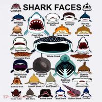 Shark Faces Of All Kinds Garment-Dyed Sweatshirt thumb 2