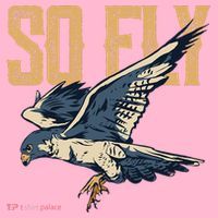 So Fly Peregrine Falcon Birding Ornithologists Coaster thumb 2
