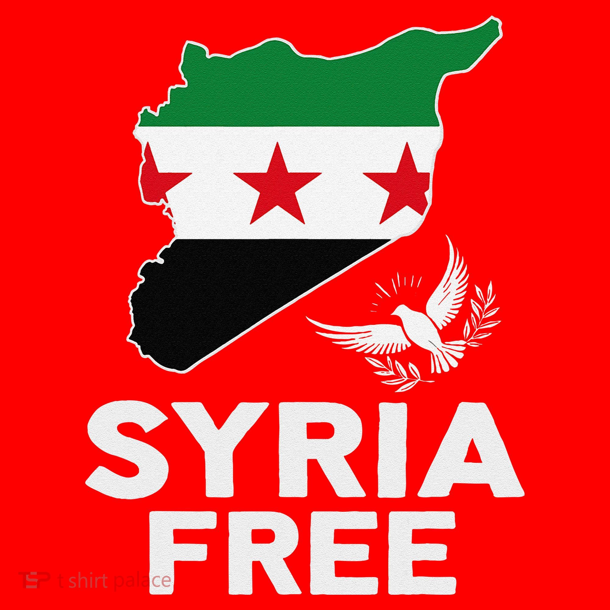 Syria Free Patriotic Syrian Map Liberation Peace Unity Home Santa Hat