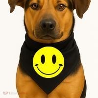 SMILEY FACE USA-Made Doggie Bandana thumb 1