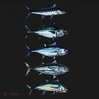Saltwater Fish Species Swordfish Fishing Camping Hunting Women's Hoodie thumb 2