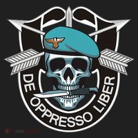 Special Forces Skull De Oppresso Liber Beanie thumb 2