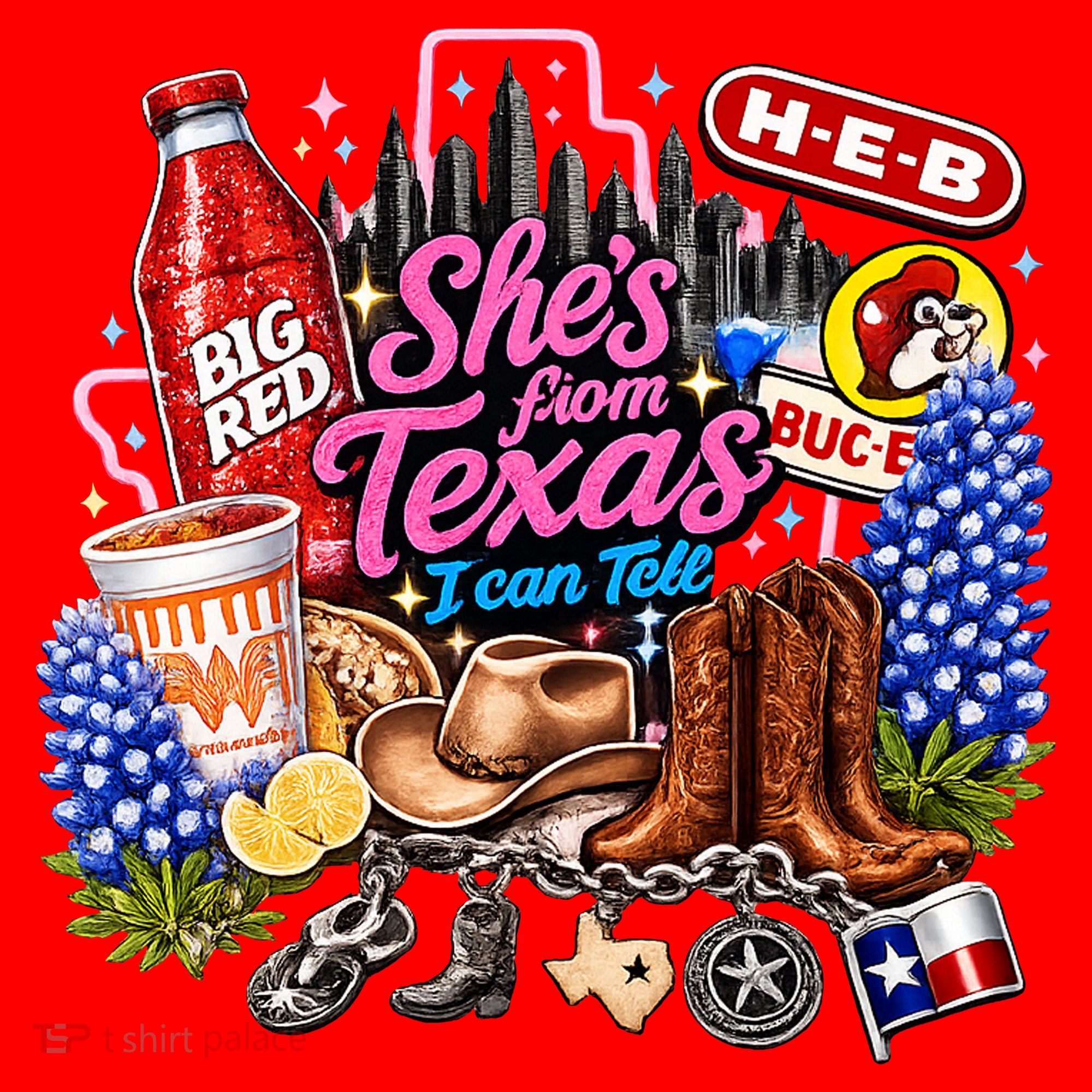 Shes From Texas I Can Tell State Pride Santa Hat