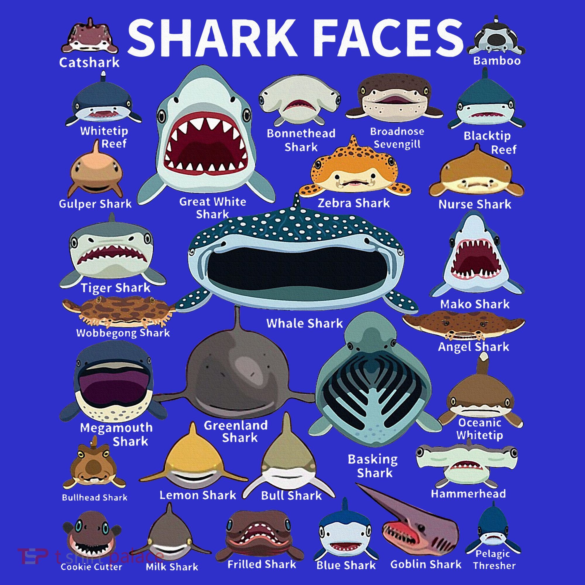 Shark Faces Type Of Shark Shark Faces Of All Kinds T-Shirt
