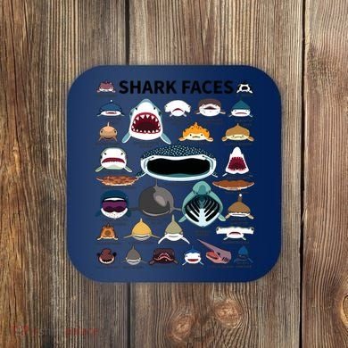 Shark Faces Type Of Shark Shark Faces Of All Kinds Coaster