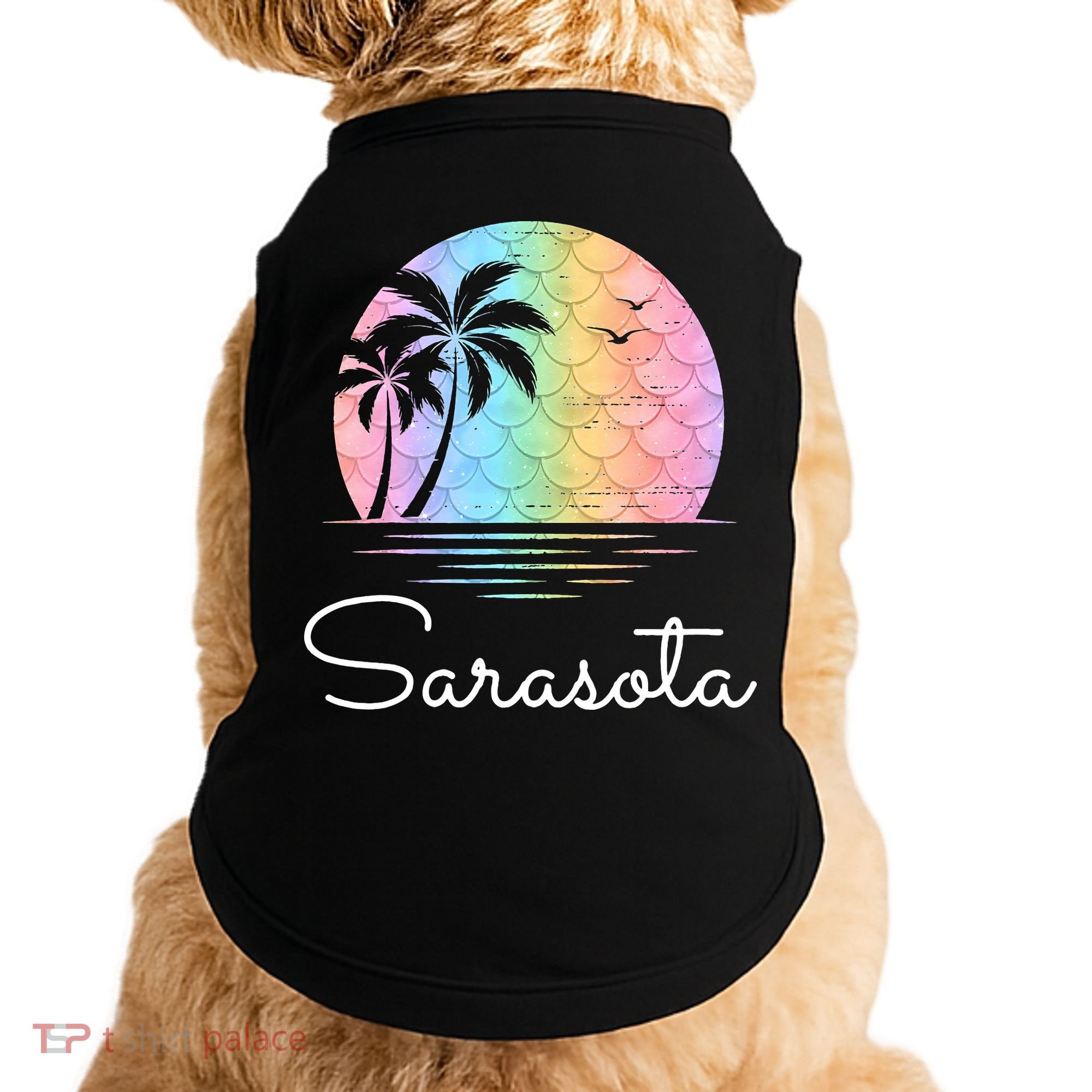 Sarasota Florida Vacation Family Beach Group Doggie Tank