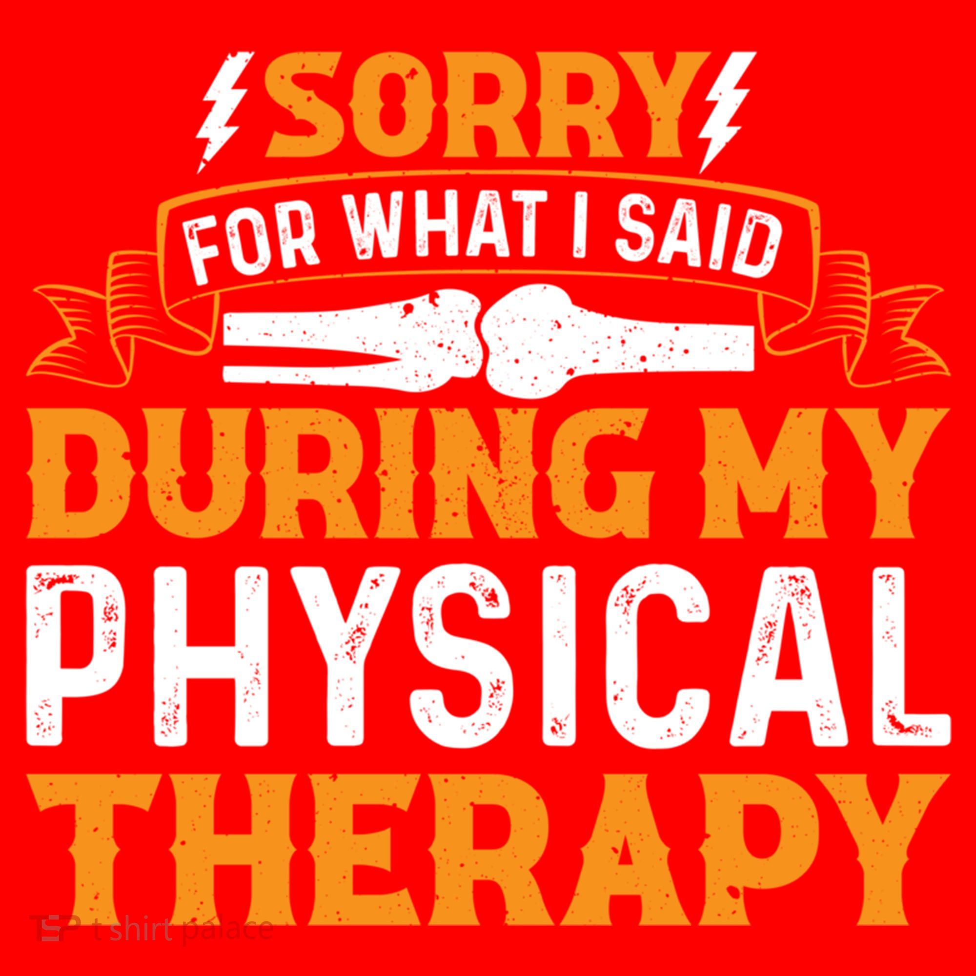 Sorry For What I Said During My Physical Therapy Knee Gift Santa Hat