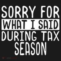 Sorry For What I Said During Tax Season Ornament thumb 1