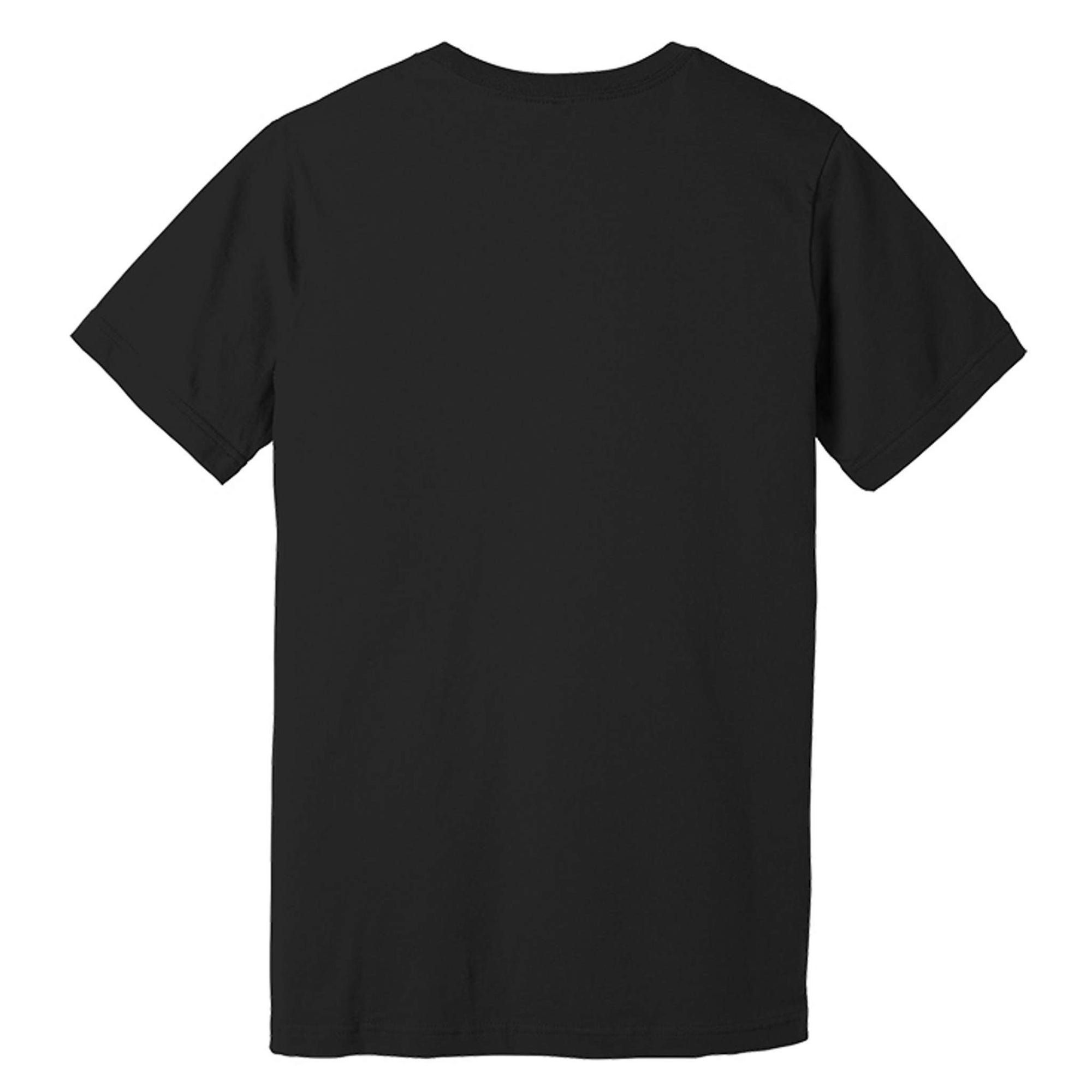 Sober Gangster Aa Na Funny Recovery Gift Premium T-Shirt