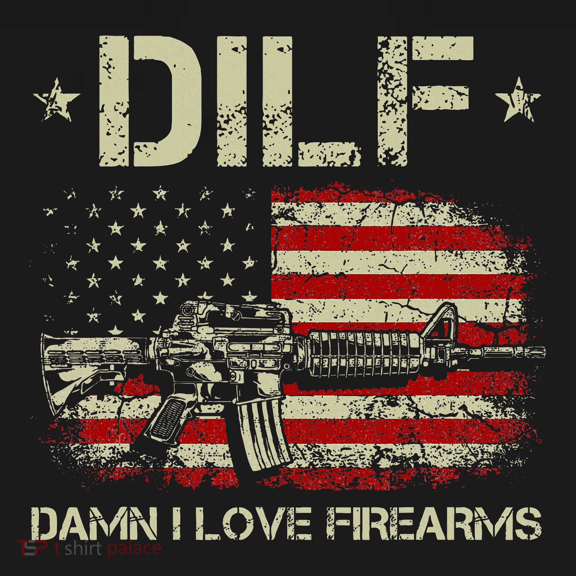 S Gun American Flag Dilf Damn I Love Firearms Women's Hoodie