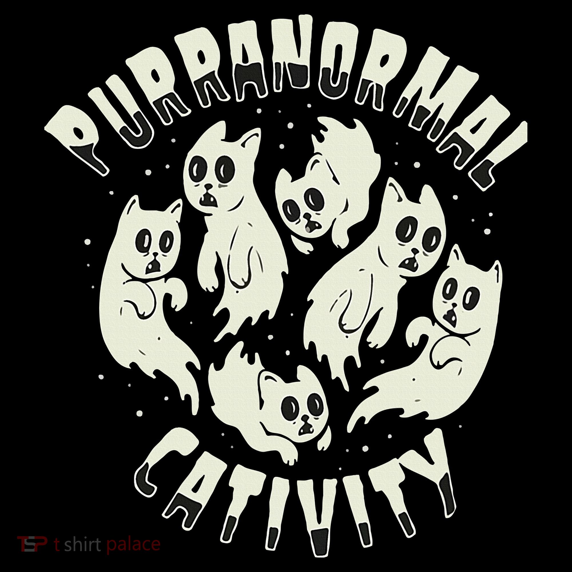 Spooky Ghost Cat Paranormal Funny Activity Sweatshirt