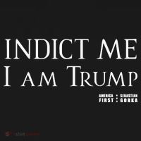 Sebastian Gorka Drg Indict Me I Am Trump America First Toddler Hoodie thumb 2