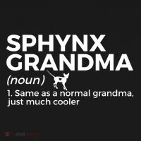 Sphynx Grandma Definition Funny Sphynx Cat T-Shirt thumb 7