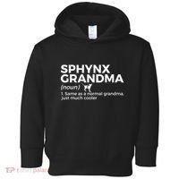 Sphynx Grandma Definition Funny Sphynx Cat Toddler Hoodie thumb 0