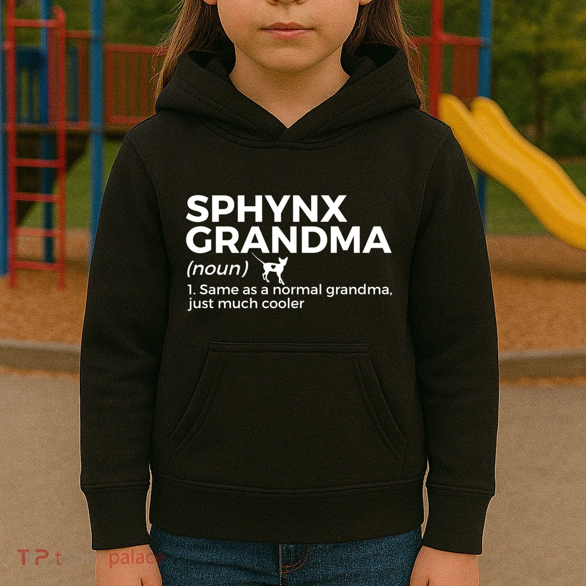 Sphynx Grandma Definition Funny Sphynx Cat Kids Hoodie