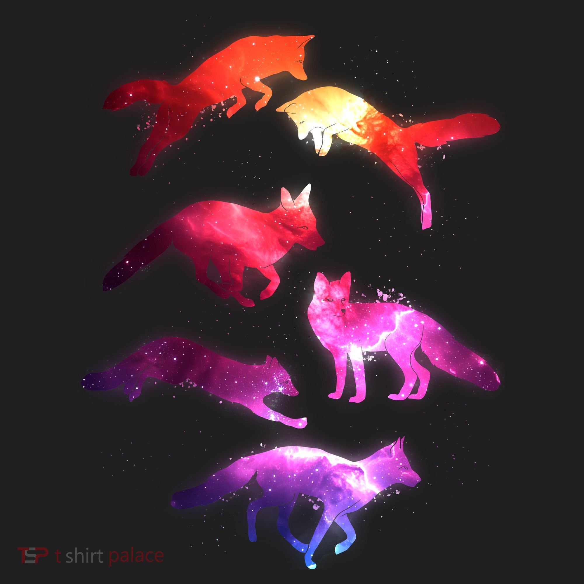 Space Galaxy Foxes Tumbler