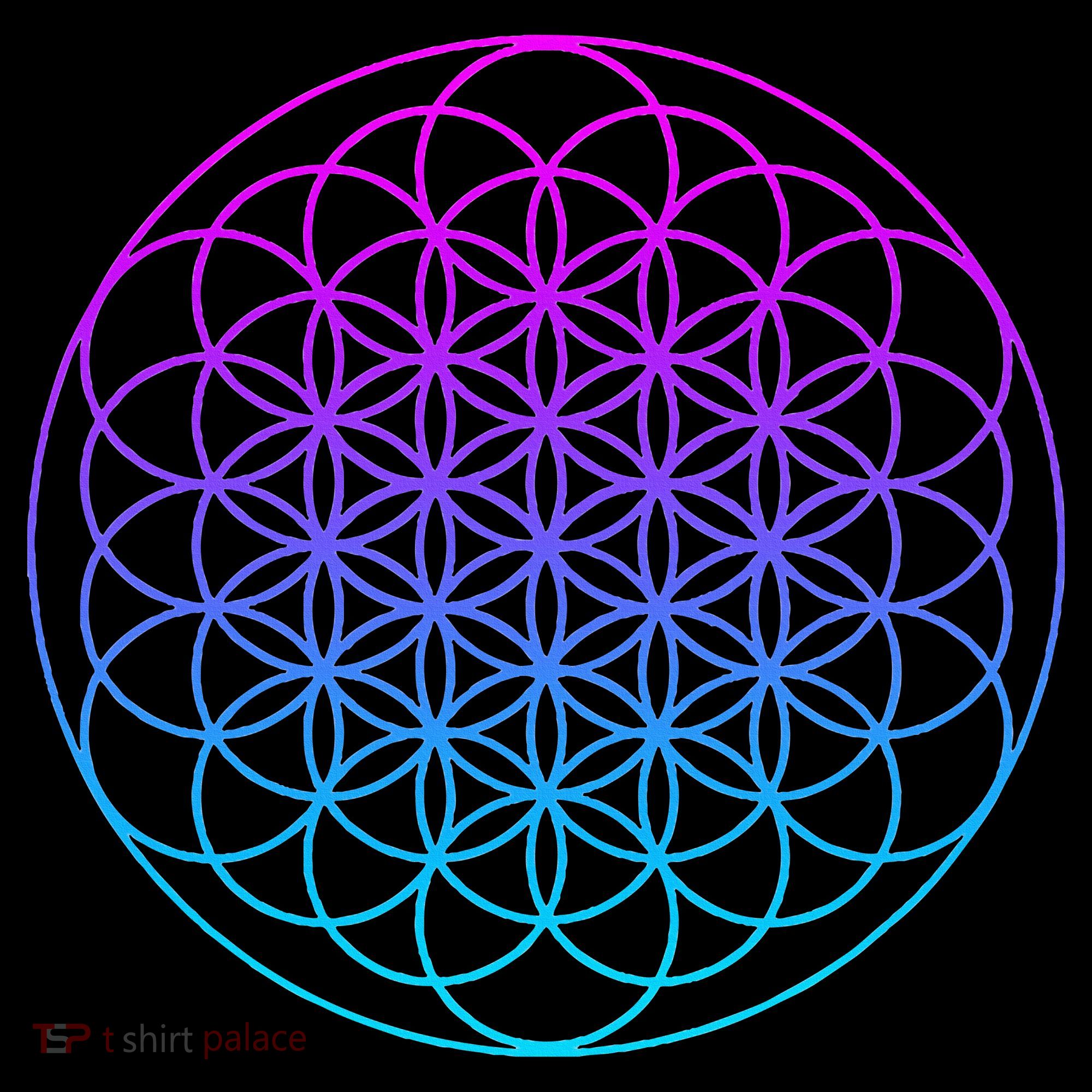 Sacred Geometry Flower Of Life Women's Hoodie