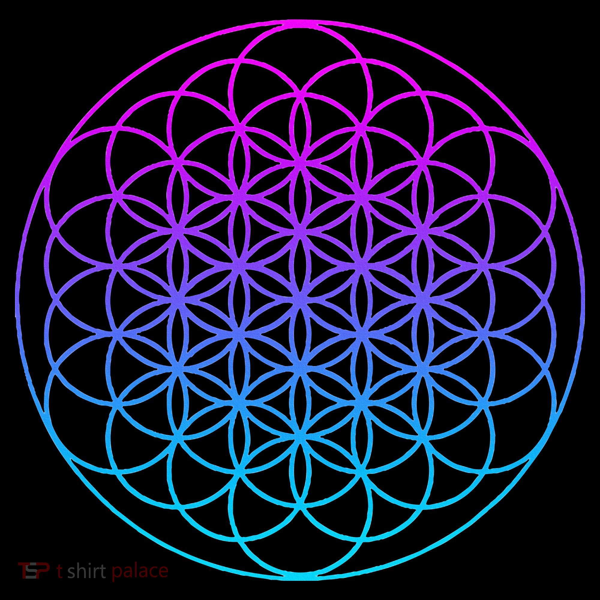 Sacred Geometry Flower Of Life Women's Hoodie