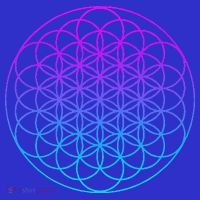 Sacred Geometry Flower Of Life T-Shirt thumb 7