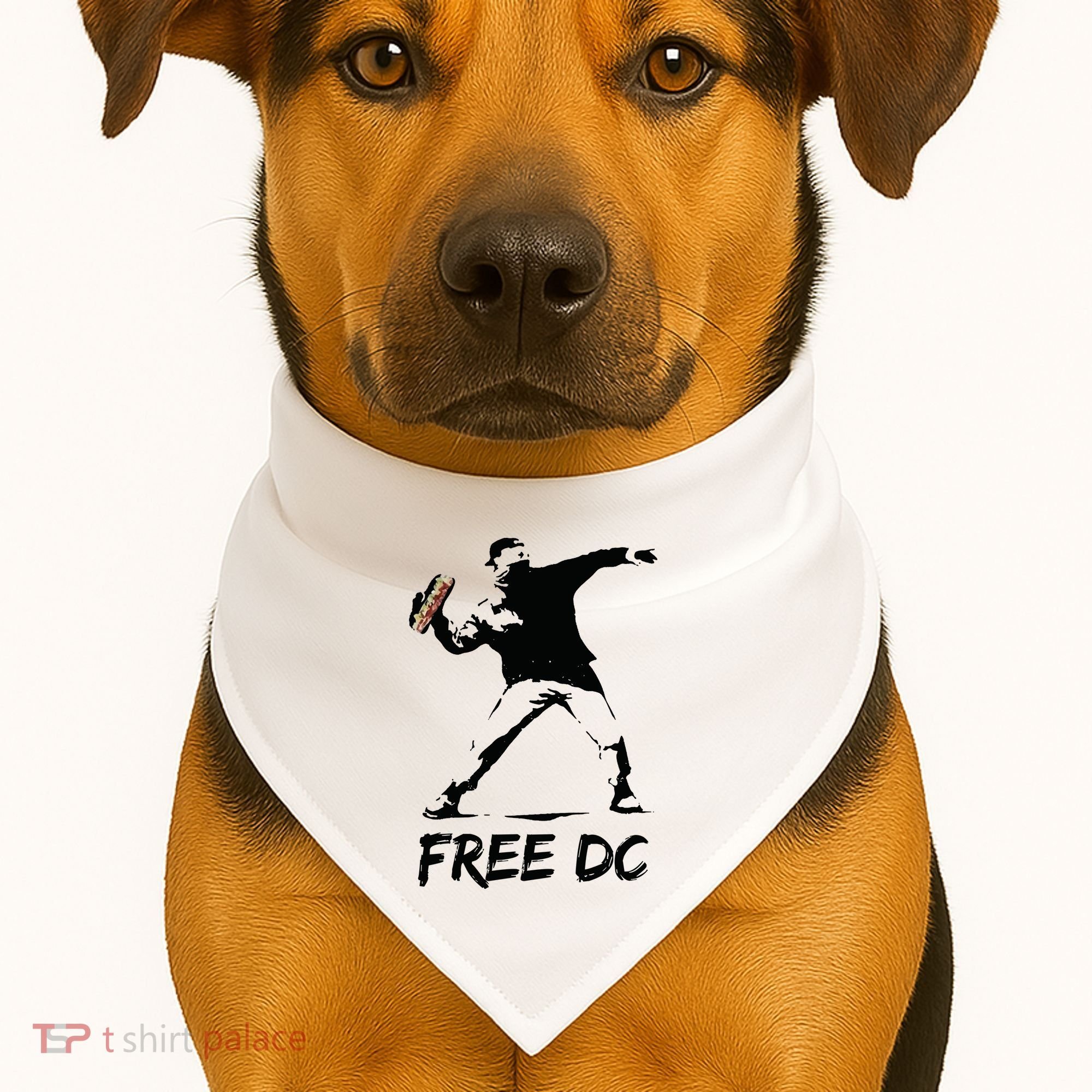 Sandwich Guy Free DC USA-Made Doggie Bandana