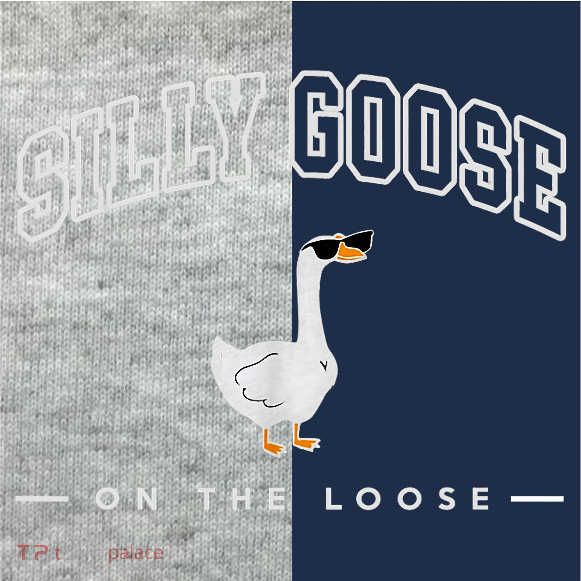 Silly Goose Goose On The Loose Funny Silly Goose University Kids Colorblock Raglan Jersey