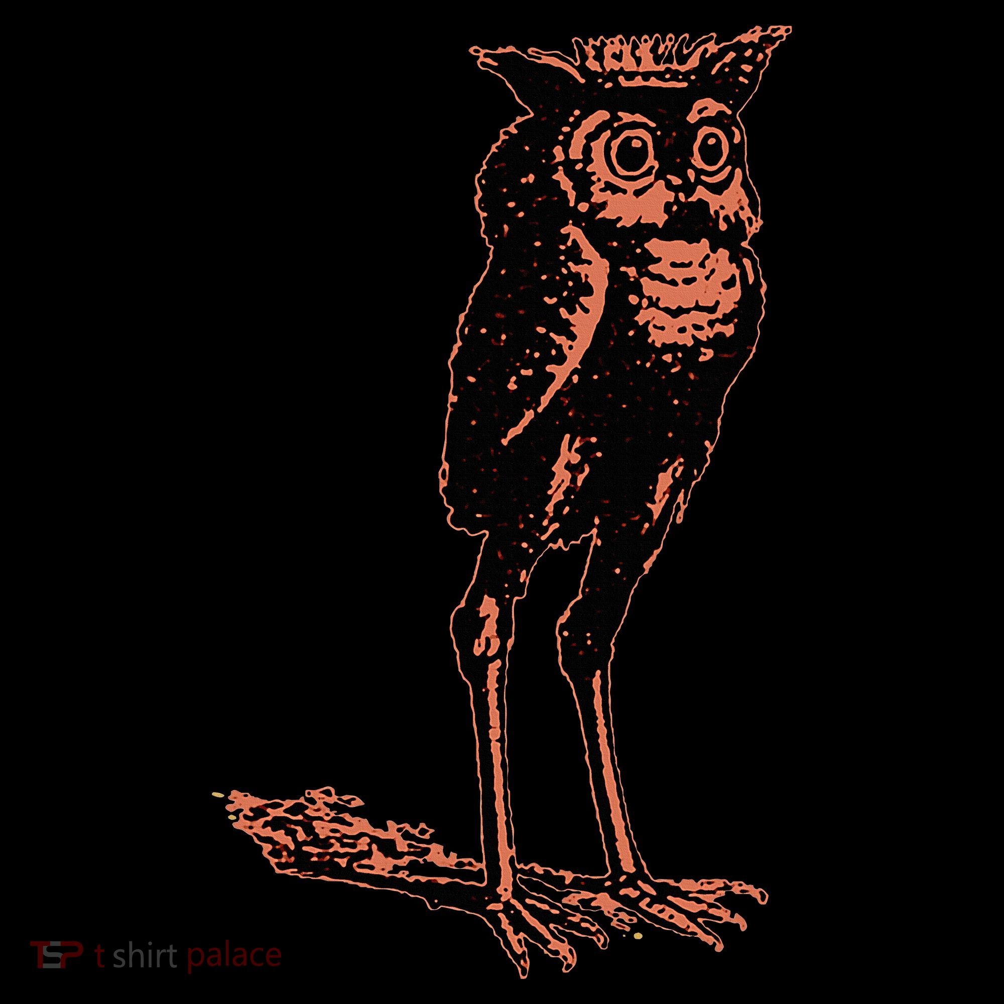 Stolas Goetic Owl Demon Prince Bucket Hat