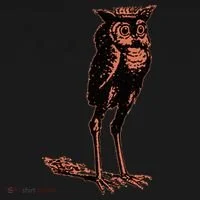 Stolas Goetic Owl Demon Prince Women's Hoodie thumb 2
