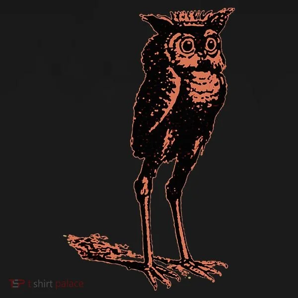 Stolas Goetic Owl Demon Prince Women's Hoodie