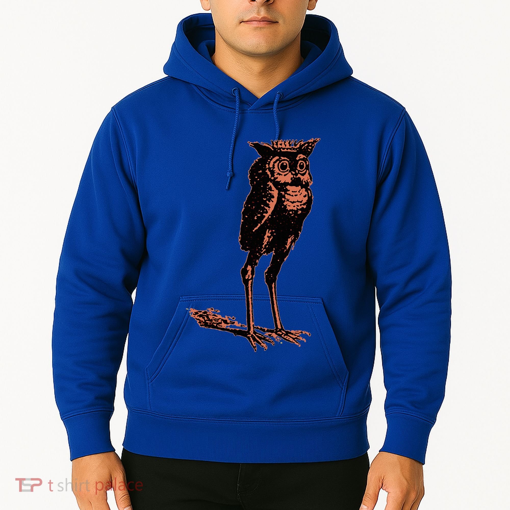Stolas Goetic Owl Demon Prince Hoodie
