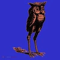 Stolas Goetic Owl Demon Prince Toddler Hoodie thumb 2
