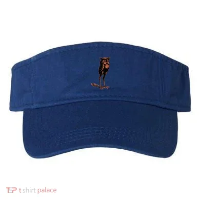 Visor
