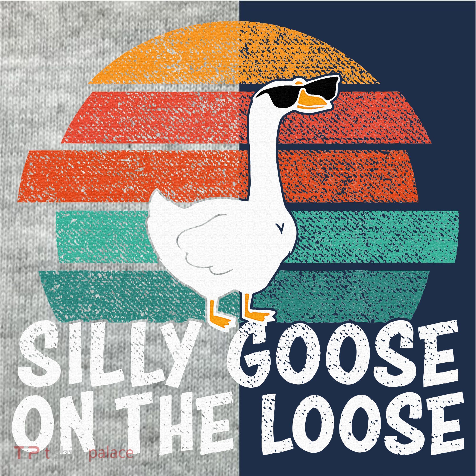Silly Goose On The Loose Kids Colorblock Raglan Jersey