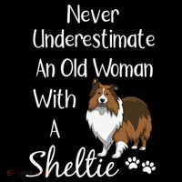 Sheltie Gift Old And Sheltie Funny Sheltie Mom Cool Gift Women's Hoodie thumb 2