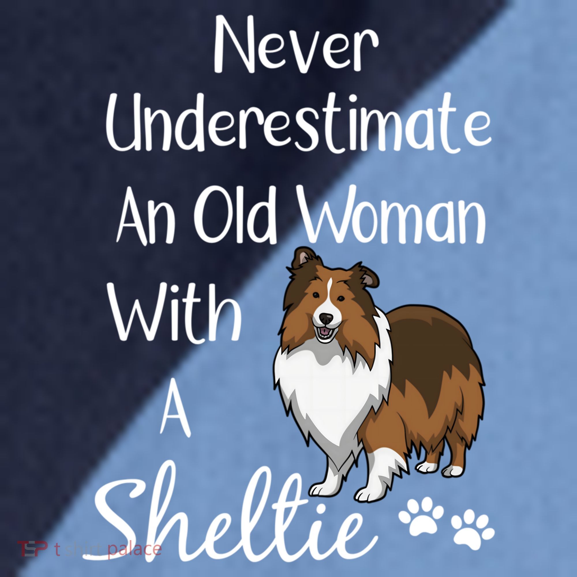 Sheltie Gift Old And Sheltie Funny Sheltie Mom Cool Gift Raglan Baseball Sleeve Shirt